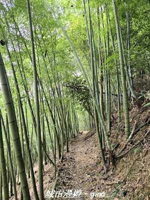 【台中和平】橫嶺山自然步道_木馬古道3095035