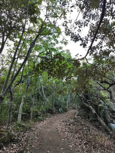 2023.11.30 九份二山2677665