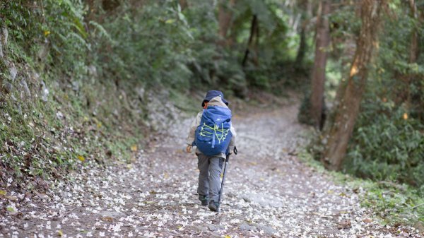 瓦拉米山屋-五歲小樂的第一次山屋體驗1366237