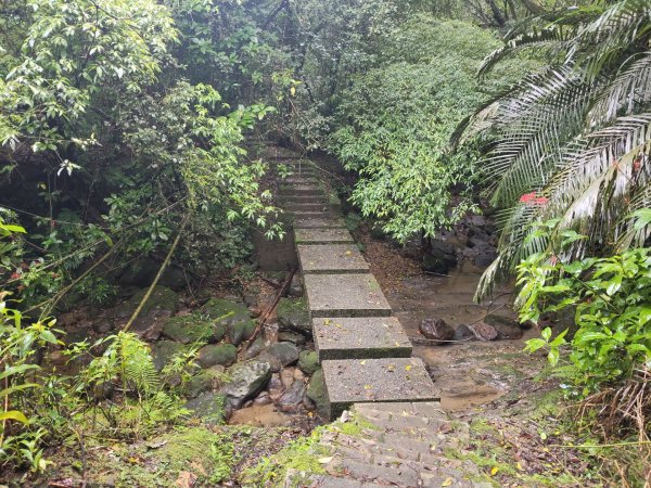 微笑山線：【五分山系】菁桐煤礦段2954730