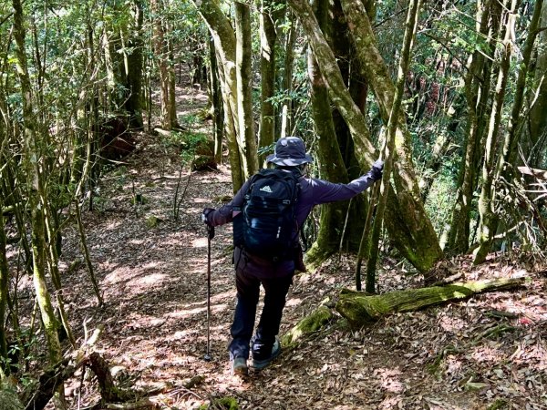 船型山環走大雪山210林道2978050