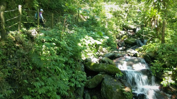 聖母山莊登三角崙448033