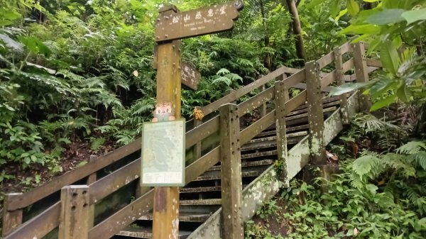 信義區虎山溪步道-岩刻佛像岩下路-四獸山步道-拇指山-南港山-九五峰-麗山橋口步道3076163
