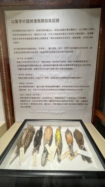 雨天備案💙 台灣博物館的古生代館-台大動植物館免費參觀-北投♨️季2807509