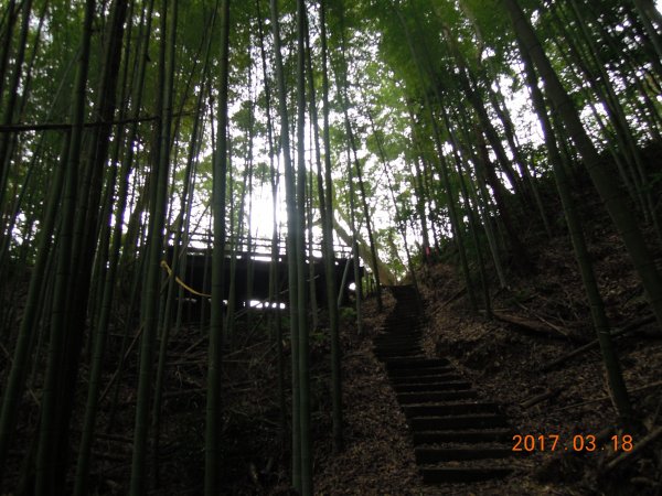 20170318_石壁山嘉南雲峰854729