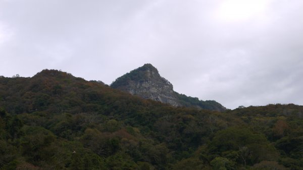 虎山登山健行趣(中級山)1516839