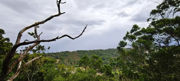 2025/10/19_大北坑休閒農區+福人登山步道2920843