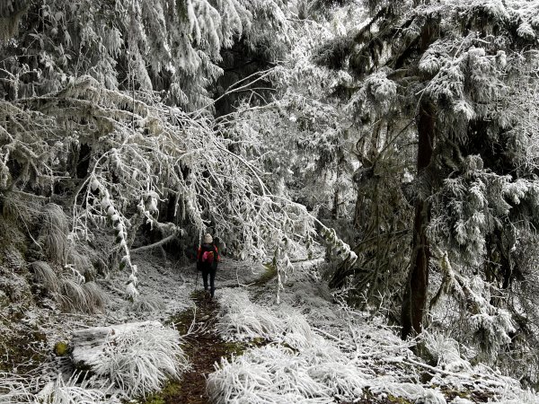 【南三段逆走】D7 冰雪沙武巒草原與瑞穗林道2021805