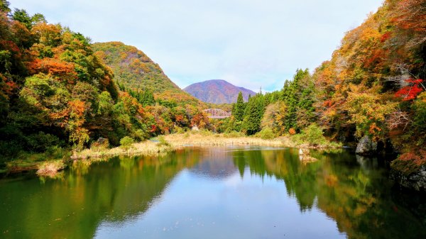 福島縣塔之斷崖2930285