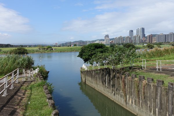 美堤河濱公園．圓山河濱公園1156036