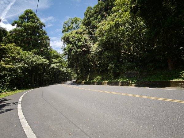 [淡蘭古道] 2026_0524 南路第四段_四堵古道(下)-四堵苗圃步道3070014