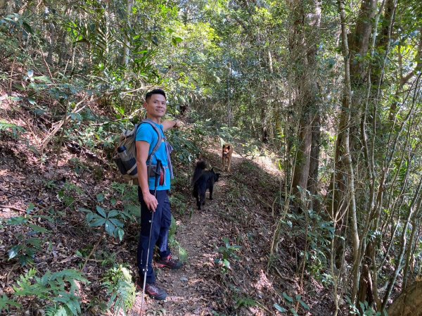 六龜美輪山【享受簡單純粹的登山樂趣】2415561