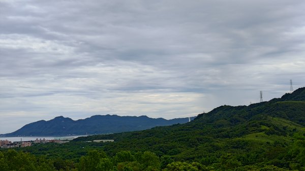 楊廷理古道2814638