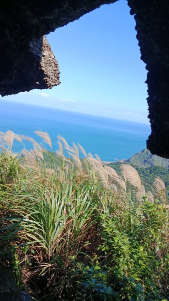 找一個晴天去爬山~金瓜石芒花之旅2962425