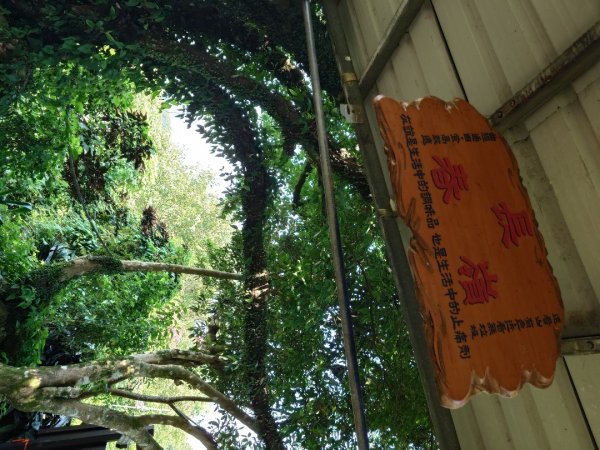 微笑山線之鳶山任務2855532