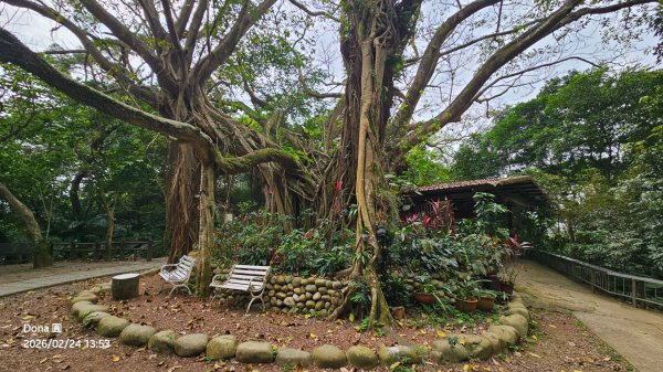 圓通寺烘爐地登山步道大O走3007119