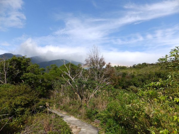 20181208_軍艦岩、丹鳳山親山步道479633