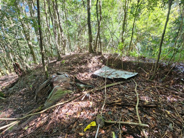 20241124布奴加里山2679120