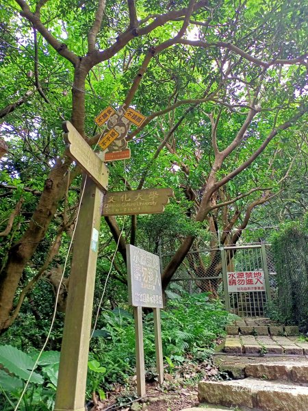 天母古道、內湖大港墘公園、文間山登山口、劍南路潛園【走路趣尋寶、健康大穀東】2273615