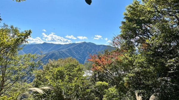 油羅山封面