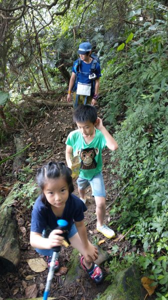 新溪洲山之樂400363