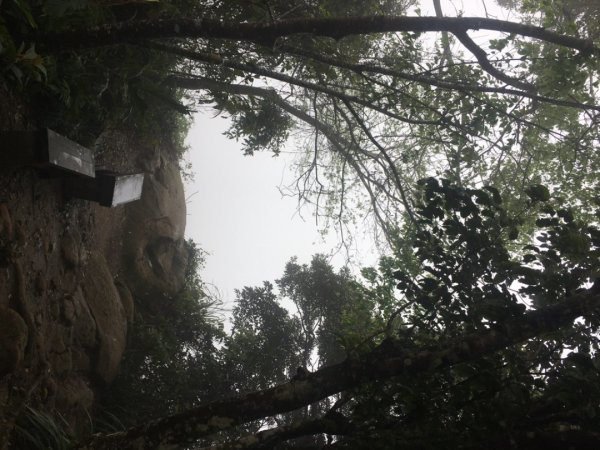 38溪洲山2729735