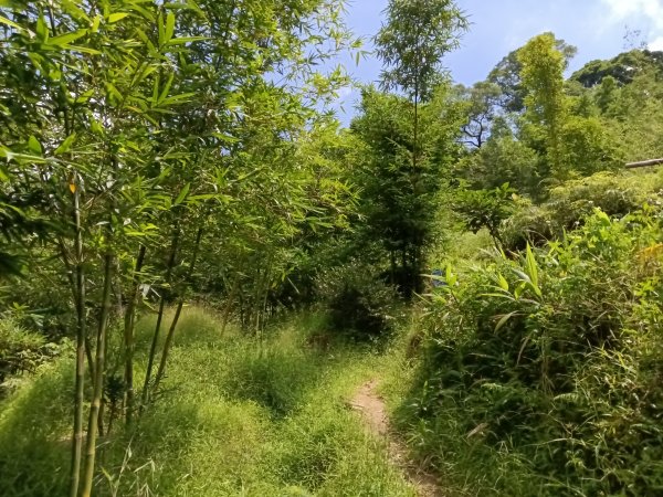 汐止區姜子寮田園步道+旗尾崙+姜子寮絕壁、瀑布O型2822246