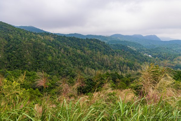 [宜蘭]鵲子山2932531
