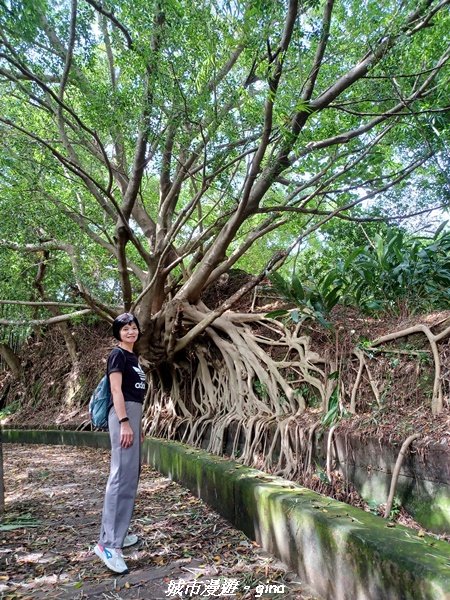 【台中烏日】S型的水圳步道古樸優美。 知高圳步道、雪蓮步道、學田山2874938