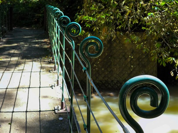 2024-08-22 澀水森林步道2578380