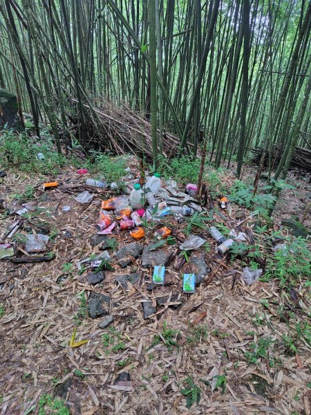 矢場谷山連走勃子山2805075