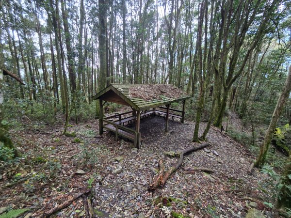 谷關七熊馬崙山2748797