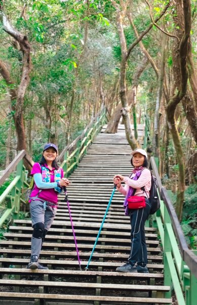 大崙頭尾山2990344