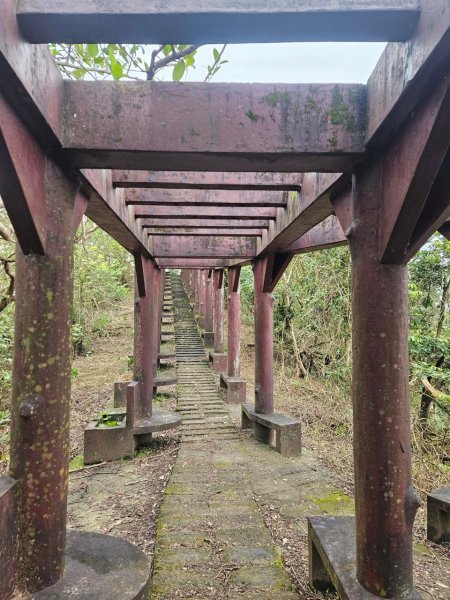 20250119梅竹蹊山-麻竹坑山-蝙蝠山2693305