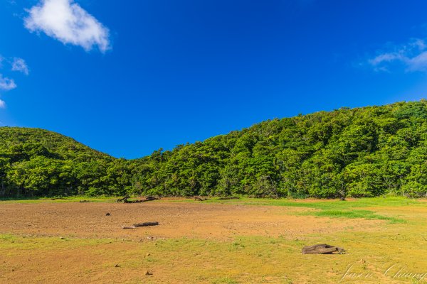 蘭嶼大天池3094329