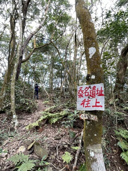 小百岳｜高雄茂林鳴海山1606724