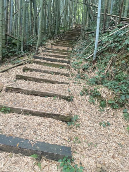 1120329奮瑞古道2643550