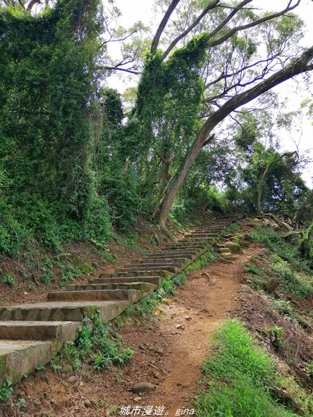 【新竹。芎林】綠蔭成徑。 小百岳集起來。編號27小百岳-中坑山x飛鳳山1443342