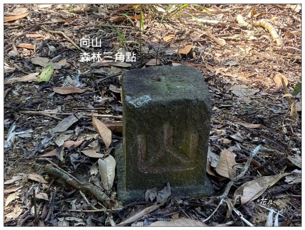 向山、向山遊客中心2747266