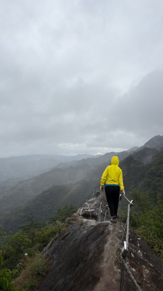 迎新（2026元旦2975592