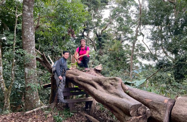 馬那邦山（珠湖登山口）2933971
