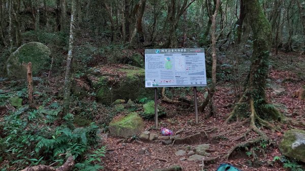 111/03/12東滿步道(東眼山進、滿月圓出)1643961