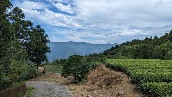 112.07.29獅公髻尾山-大舌湖山2234748