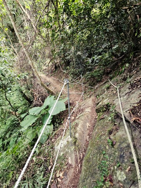 馬胎古道、馬胎二期古道、南坪古道2986007