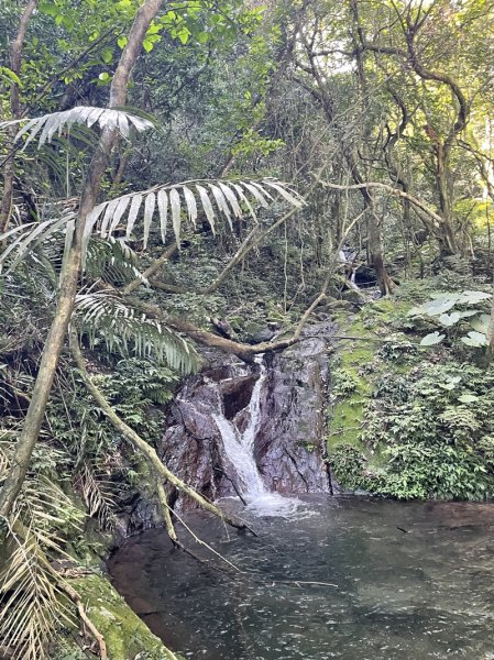 楓樹湖古道3012059