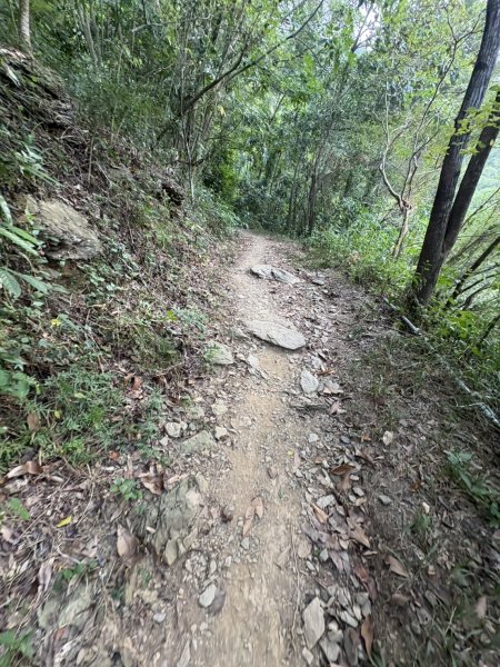 20251109棚集山步道2935235