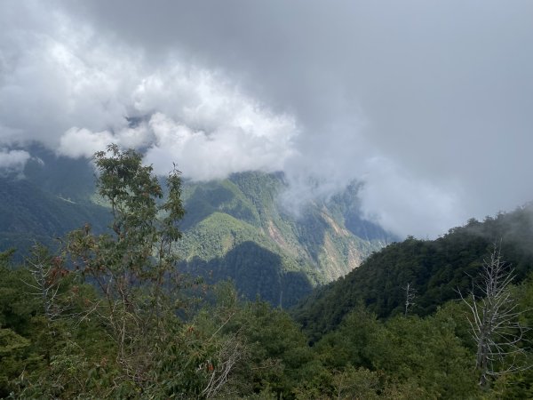 52大小雪山森林步道11310133093061