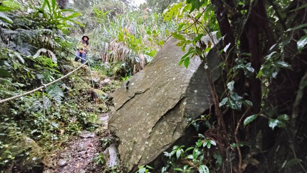 神阿縱走~台灣難抵極~大塔山2971407