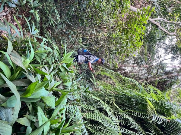 20250913_大橫屏山（南投小百岳）2941229