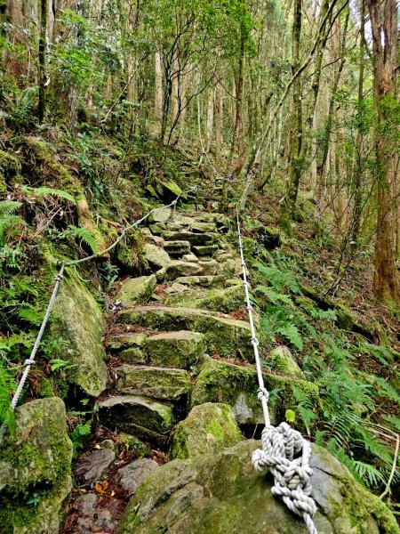 橫嶺山步道 - 2024年最有意義的山2653695